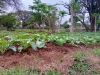 img-20221117-wa0010