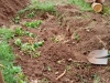 img-20221117-wa0026